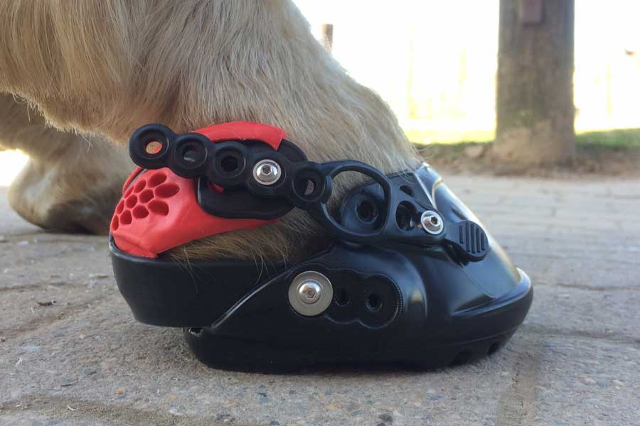 Evo Boot