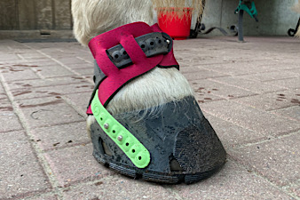 Flex Hoofboot