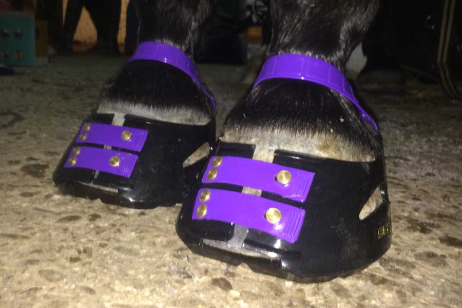 Scoot Boot